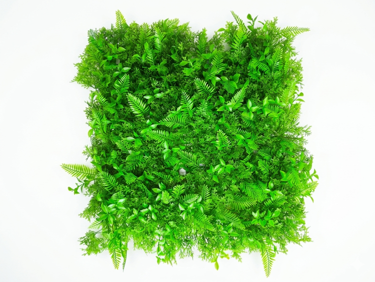 گرینوال گشنیز سیکاس